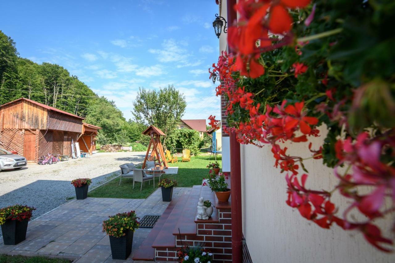 Casa Moldovan Sovata Exteriér fotografie