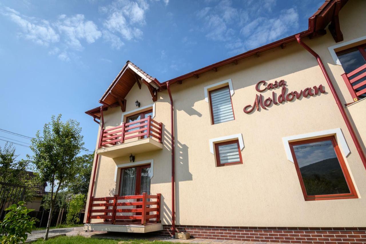 Casa Moldovan Sovata Exteriér fotografie